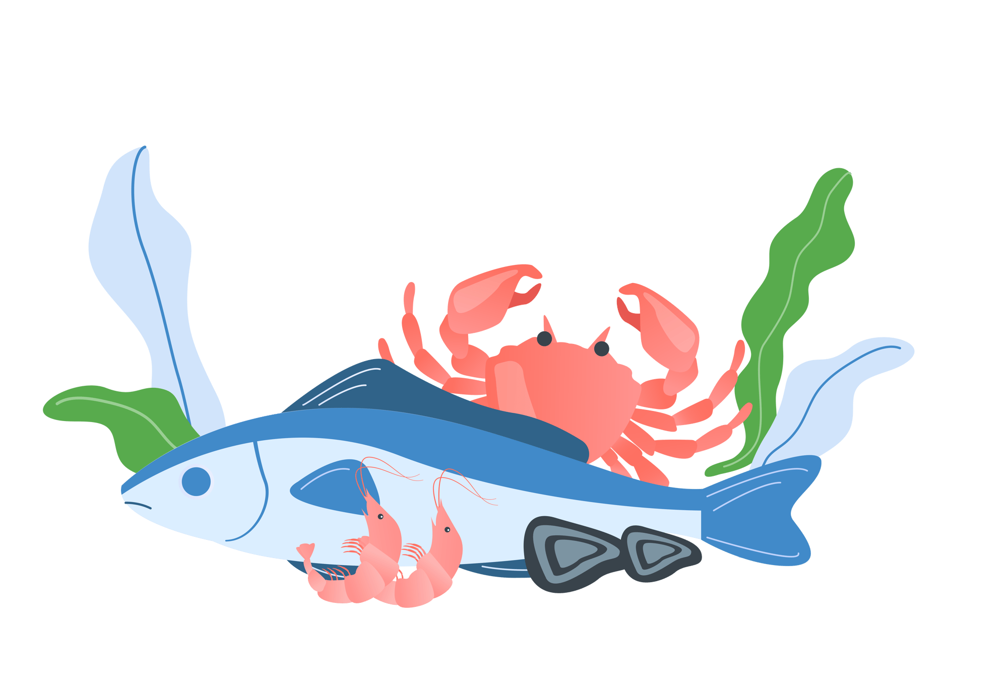 APPROVE Illustrations (fish)_Linkedin banner-22